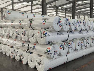 Geotextil 6 m für Absetzbecken im Bergbau