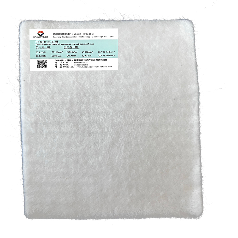 Reinforced Composite Geomembrane