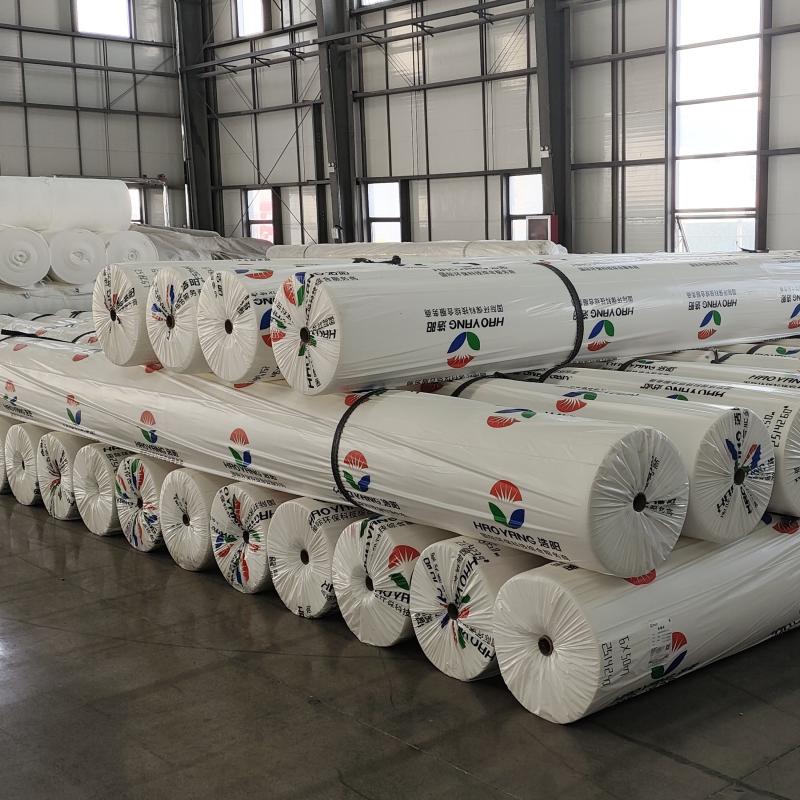 Premium Polypropylene PP Geotextile Non Woven and Woven Options