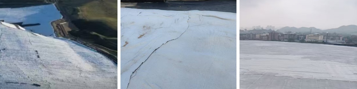 Multi-Layer Composite Geomembrane