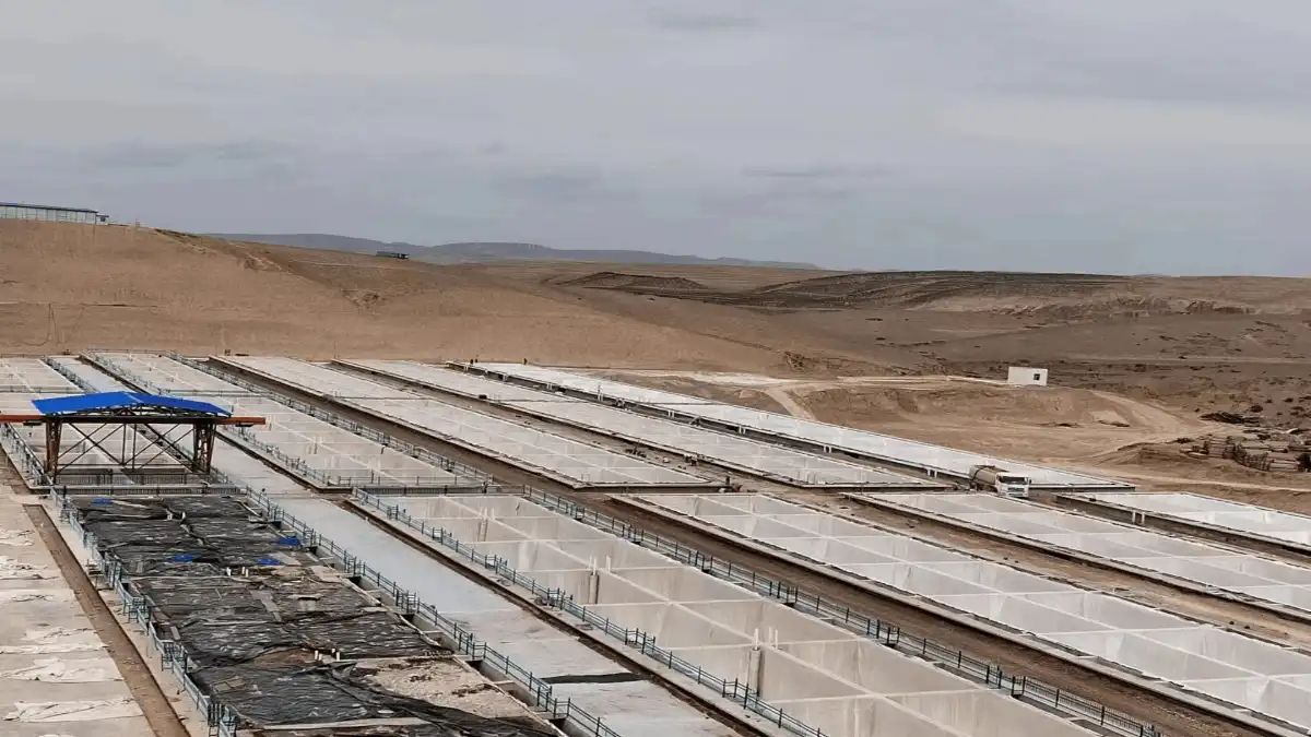 مشروع نينغشيا.png