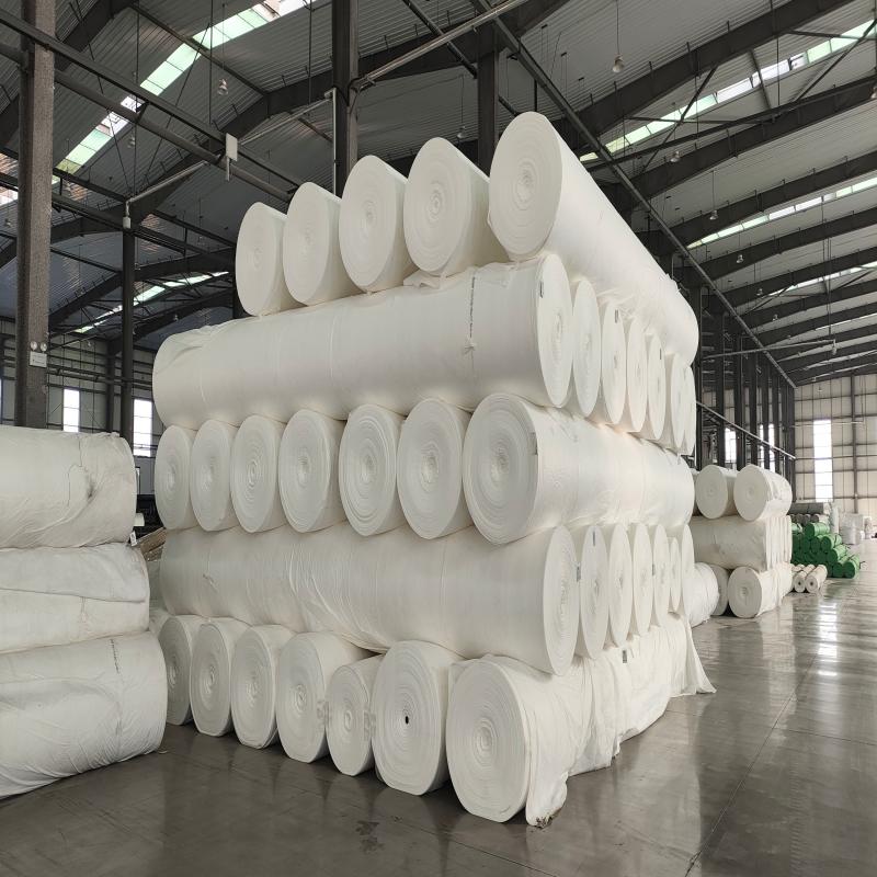 Reinforced PET Geotextile for Soil Stabilization