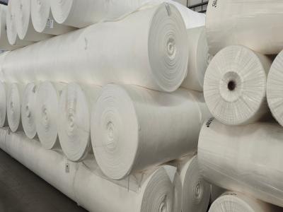 Premium Polypropylene PP Geotextile Non Woven and Woven Options