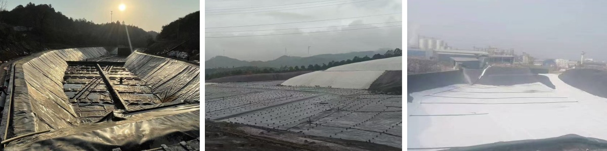 Black Plastic Geonet