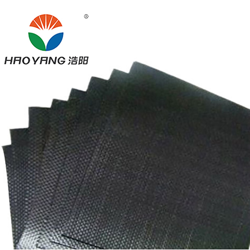 Polyester Filament Woven Geotextile