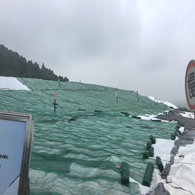 Drainage Nets for Driveaway