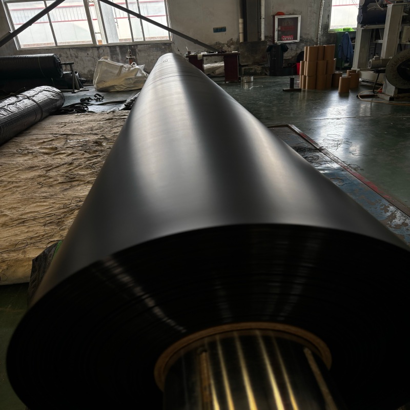 Geomembrane Sheet