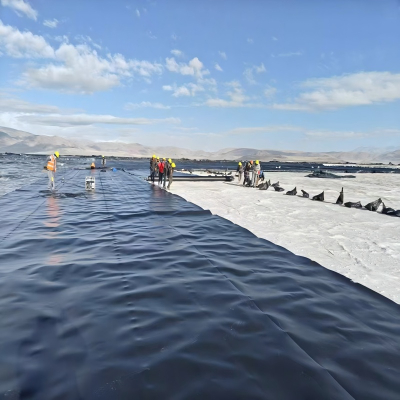 Single Textured Geosynthetic Liner