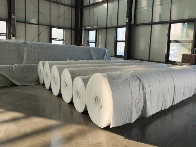 Premium Polypropylene PP Geotextile Non Woven and Woven Options