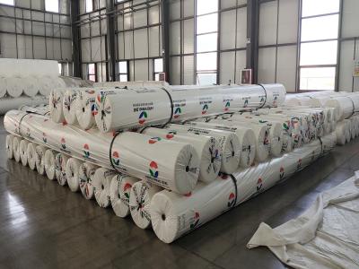 Premium Polypropylene PP Geotextile Non Woven and Woven Options