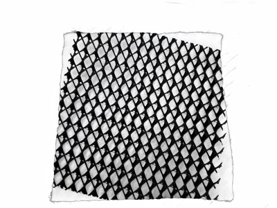 Geocomposite Drainage Layer for Landfills