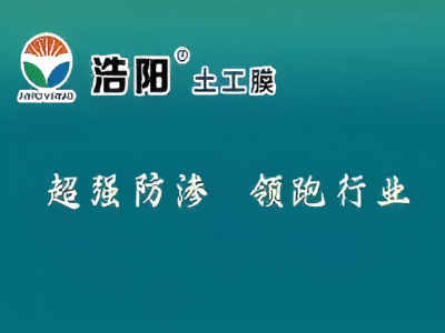A Haoyang Environmental compareceu no Fórum Nacional de Desenvolvimento de Tecnologia de Inovação Hidrometalúrgica de 2025