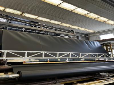 Géomembrane pour bassin flexible et durable