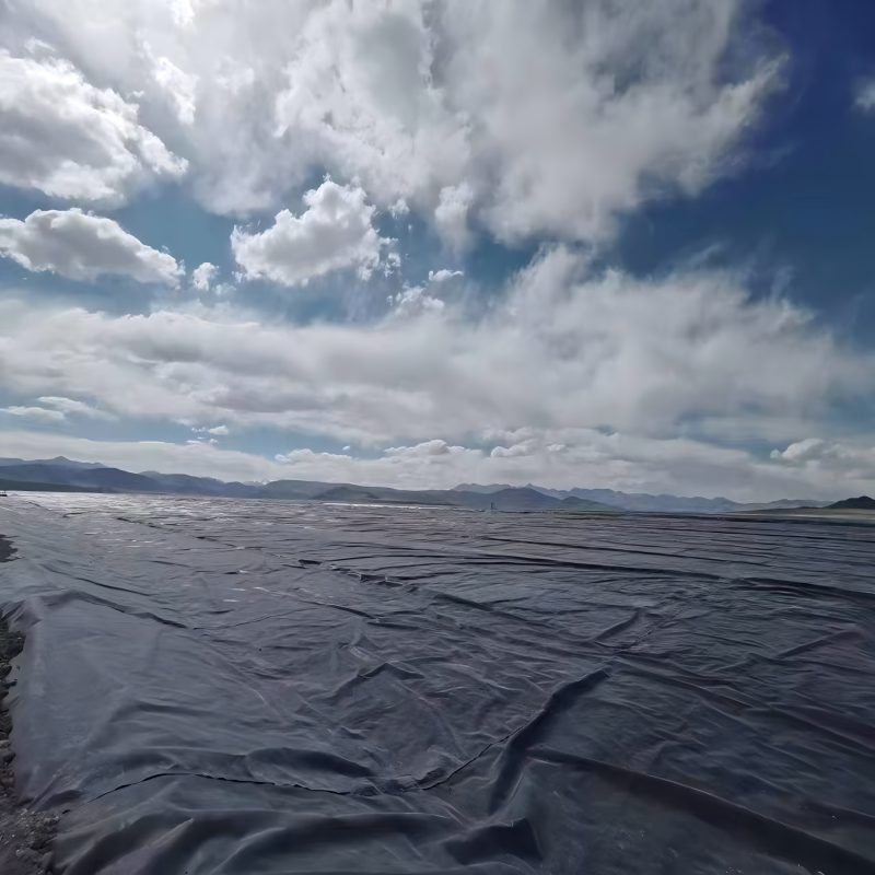 Double-Sided Smooth HDPE Liner