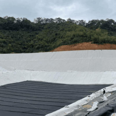 Waste Incineration Power Generation Project