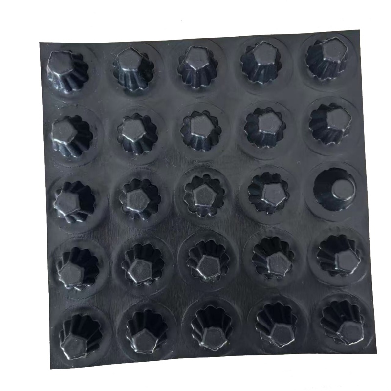 Anti-Clogging System Drainage Board