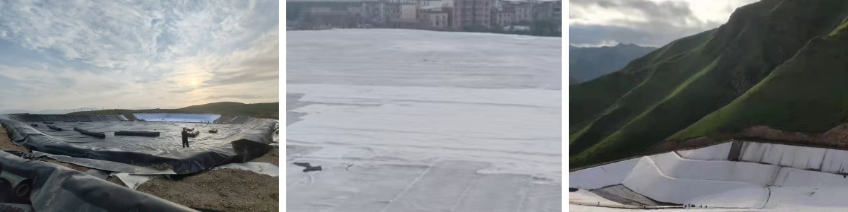 Black Plastic Geonet