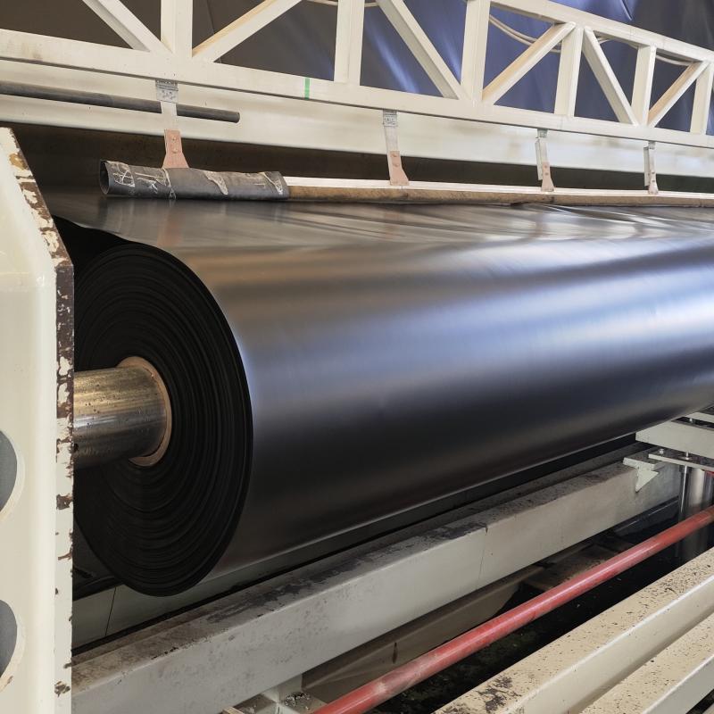 Géomembrane pour bassin flexible et durable