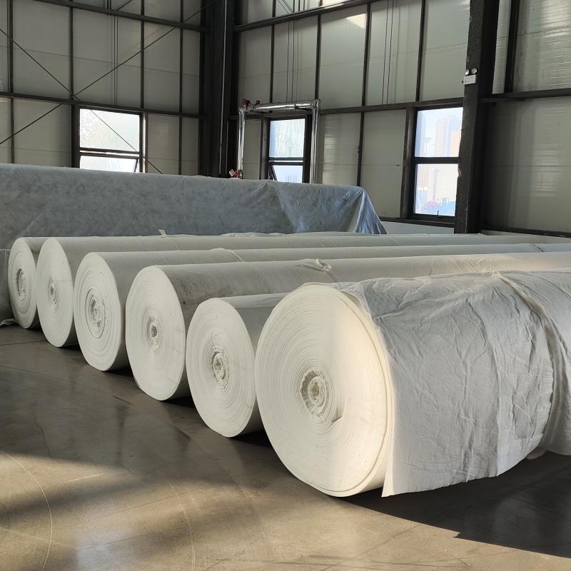 Premium Polypropylene PP Geotextile Non Woven and Woven Options