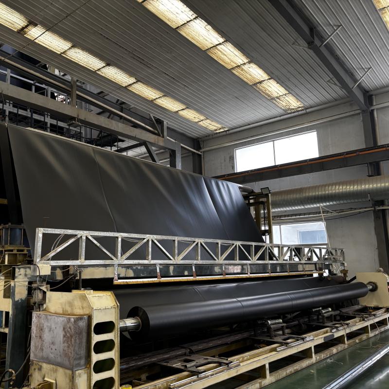 Géomembrane pour bassin flexible et durable