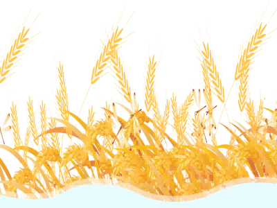 Mangzhong Solar Term вдохновляет устойчивое развитие в геосинтетической промышленности