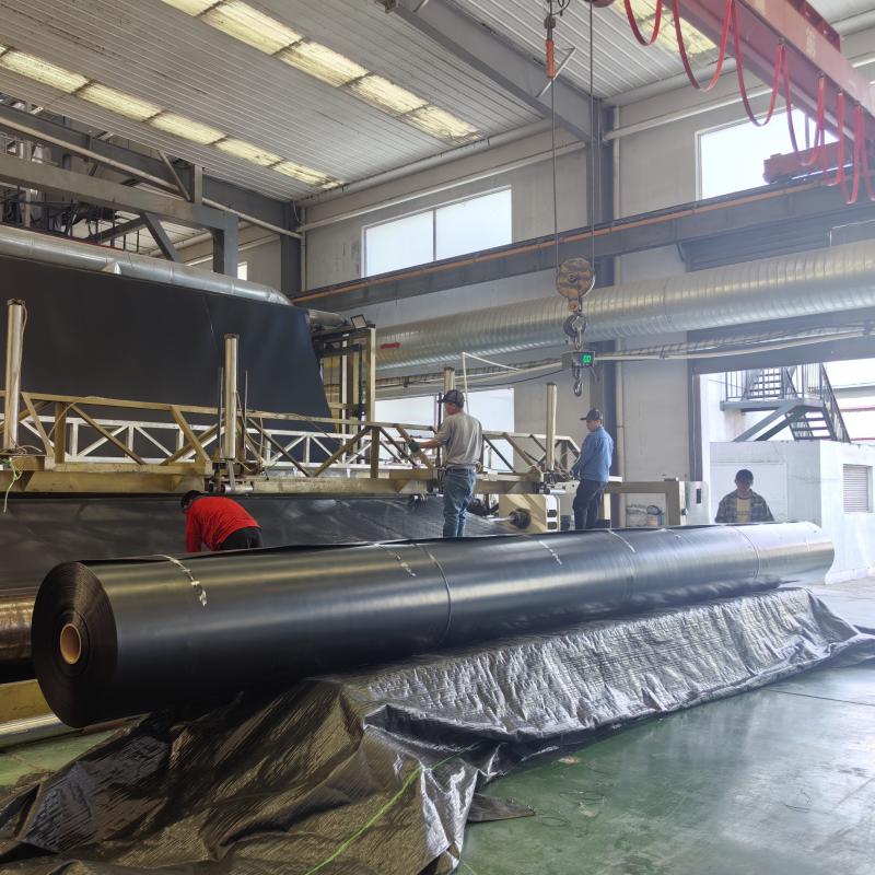 Highly Durable Geomembrane HDPE 2mm
